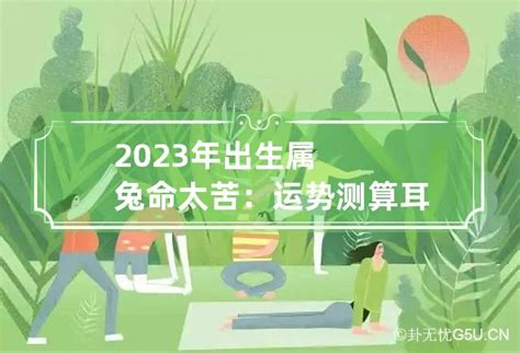 2023兔五行|2023年出生属兔的是什么命 2023年生肖兔五行属什么